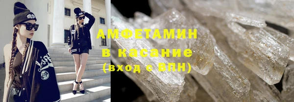 гидра Аркадак