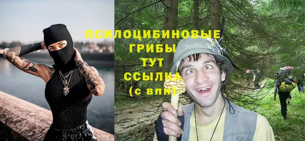 гидра Аркадак