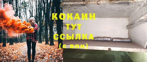 гидра Аркадак
