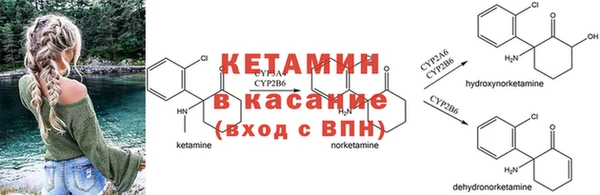 бошки Каменногорск