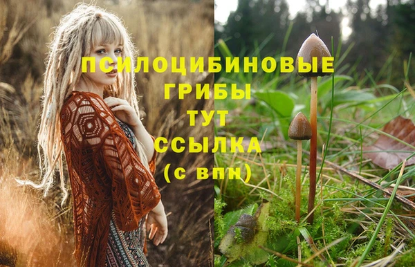 гидра Аркадак