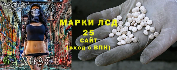 гидра Аркадак