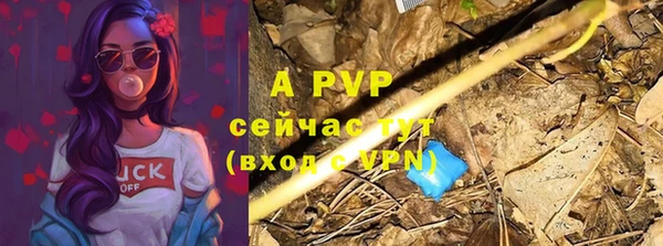 гидра Аркадак