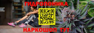 прущие грибы Краснознаменск