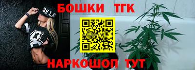 прущие грибы Краснознаменск