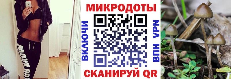 Галлюциногенные грибы Psilocybine cubensis  цена   Коломна 